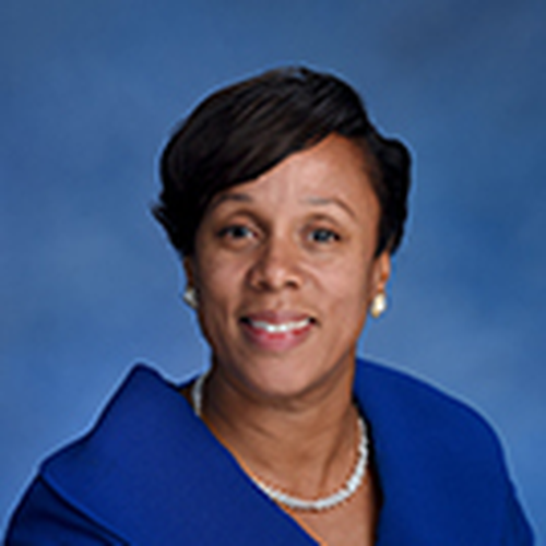 Alicia Hyndman (Assembly Member at New York State Assembly 29th District)